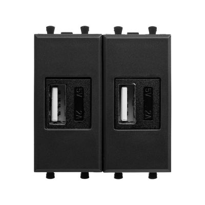 Розетка аудио/видео DKC Avanti, 2x USB, 2 модуля, 45х45 мм (ВхШ), упаковка: 1 шт, цвет: чёрный матовый, (DKC.4412542)