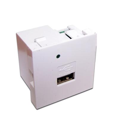 Розетка информационная Lanmaster, USB, 45х45 мм (ВхШ), цвет: белый, без шторки (LAN-EZ45x45-1U/R2-WH)