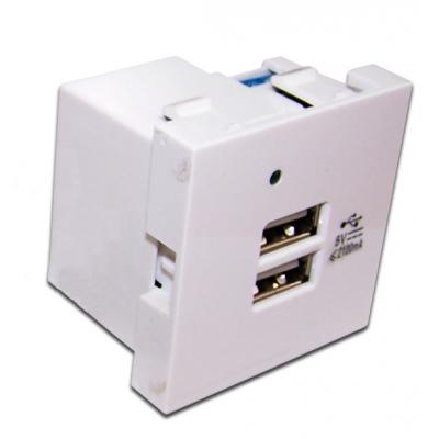 Розетка информационная Lanmaster, USB, 45х45 мм (ВхШ), цвет: белый, без шторки (LAN-EZ45x45-2U/R2-WH)