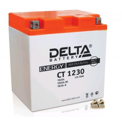 Аккумулятор для ИБП Delta Battery CT, 175х126х168 мм (ВхШхГ),  необслуживаемый свинцово-кислотный,  12V/30 Ач, (CT 1230)