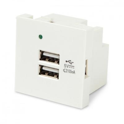 Розетка в сборе Hyperline, 2x USB, неэкр., внешняя, 45х45 мм (ВхШ), цвет: белый, (M45-USBCH2-WH)