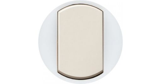 Лицевая панель для выключателя Legrand 067884