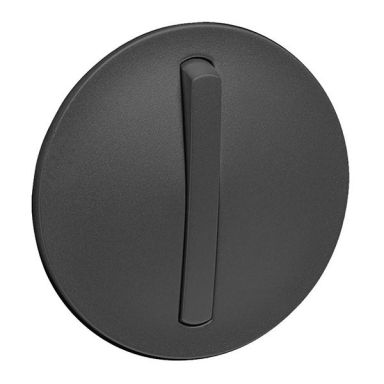 Лицевая панель для выключателя Legrand 065203