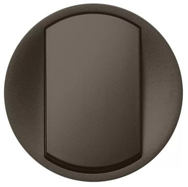Лицевая панель для выключателя Legrand 067901