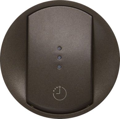 Лицевая панель для выключателя Legrand 067936