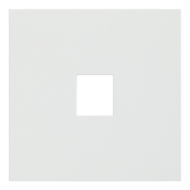 Лицевая панель розеточная Rikett 35441 MW