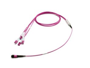 Сборка кабельная Eurolan разветвительная, MTP/LC, OM4 50/125, LSZH (нг(A)-HF), 2м, Ø 3мм, пурпурный хвостовик, цвет: пурпурный