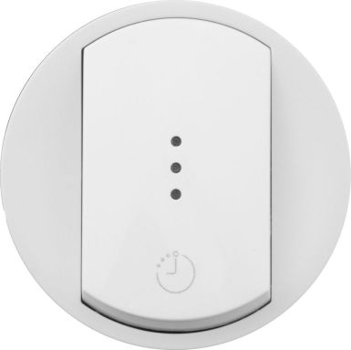 Лицевая панель для выключателя Legrand 068037