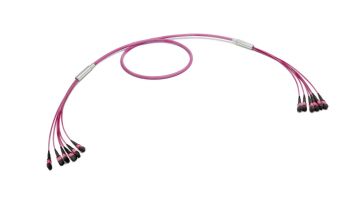Комм. шнур оптический Eurolan, MTP/MTP, OM4 50/125, LSZH (нг(A)-HF), 100м, Ø 8,4мм, пурпурный хвостовик, цвет: пурпурный