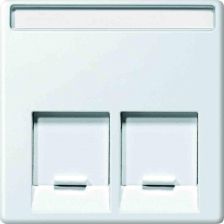 Лиц. панель розеточная Merten System M, 2х RJ45, плоская, внутренняя, цвет: активный белый, с полем для надписи (MTN469925)