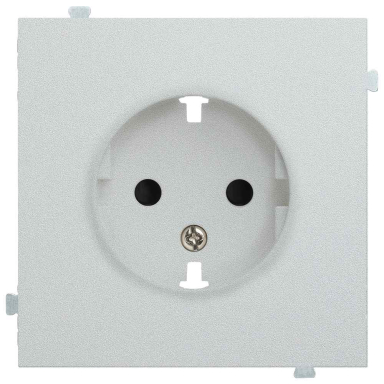 Лицевая панель розеточная Rikett 35632 SV