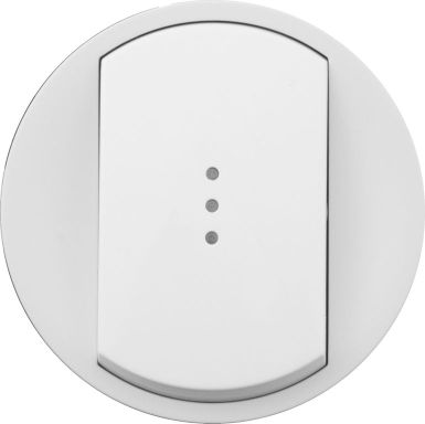 Лицевая панель для выключателя Legrand 068003