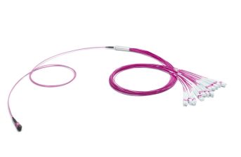 Сборка кабельная Eurolan разветвительная, MTP/LC, OM4 50/125, LSZH (нг(A)-HF), 100м, Ø 3,6мм, пурпурный хвостовик, цвет: пурпурный