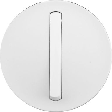 Лицевая панель для выключателя Legrand 065003
