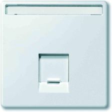 Лиц. панель розеточная Merten Antique/Artec, 1х RJ45, плоская, внутренняя, цвет: полярно-белый, с полем для надписи (MTN466419)