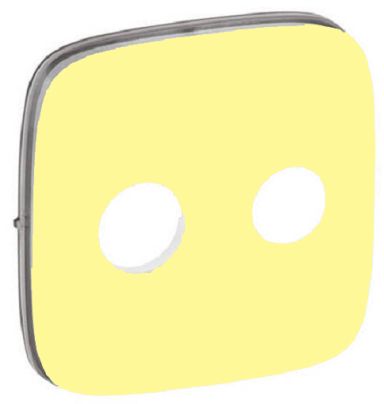 Лицевая панель розеточная Legrand 754826